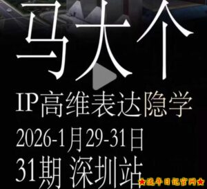 马大个《IP高维表达》全套12800线下大课笔记,手把手教你打造个人IP-流年日记