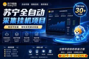 苏宁全自动采集挂G项目，稳定可批量，单窗口收益30+，可矩阵放大收益【揭秘】-流年日记