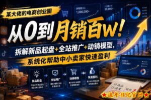 某大佬的电商创业圈从0到月销百W！拆解新品起盘+全站推广+动销模型，系统化帮助中小卖家快速盈利-流年日记