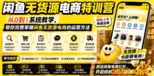 闲鱼无货源电商特训营，从0到1系统教学，帮你完整掌握闲鱼无货源电商的运营方法-流年日记