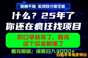 26年，请不要疯狂的找项目做了！卖项目才是真的稳賺不赔，看完照做，保底日入1k+【揭秘】-流年日记