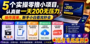 5个实操零撸小项目,认真做一天200无压力,操作简单,新手小白看完秒会【揭秘】-流年日记