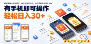 最新零撸小游戏项目,有手机即可操作,操作简单轻松日入30+-流年日记