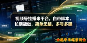 视频号挂賺米平台,自带脚本,长期能做,简单无脑,多号多賺【揭秘】-流年日记