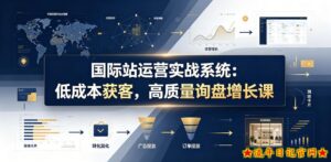 国际站运营实战系统:低成本获客,高质量询盘增长课(更新26年)-流年日记