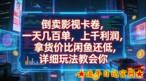 倒卖影视卡卷,拿货价比闲鱼还低,一天几百单,单日1k+利润,详细玩法教会你【揭秘】-流年日记