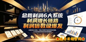 总裁利润6大系统,打通从开源到节流的利润增长链路,让企业在复杂市场中实现利润倍数级爆发-流年日记