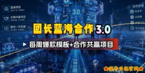 团长蓝海合作3.0,每周爆款模板+合作共赢项目-流年日记