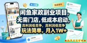 闲鱼家政副业项目，无需门店，低成本启动，高利润低竞争，玩法简单，月入1W+-流年日记
