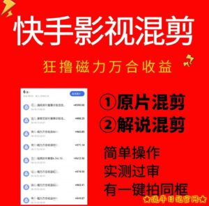 快手影视混剪项目，狂撸磁力万合收益，简单操作，实测过审，有一键拍同框，单日收益500+-流年日记