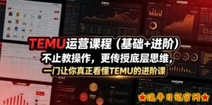 TEMU运营课程(基础+进阶),不止教操作,更传授底层思维,一门让你真正看懂TEMU的进阶课-流年日记