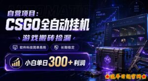 自营项目：CSGO全自动挂G，游戏搬砖捡漏，软件科技简单易用，长期稳定，小白单日300+利润【揭秘】-流年日记