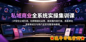 私域商业全系统实操课｜IP定位公域引流、社群精细化运营、朋友圈内容打造、高客单成交与用户裂变完整落地教程-流年日记