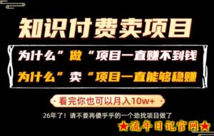 普通人为什么能够靠卖项目轻松月入10W+,而做项目却容易成炮灰,卖项目为什么能够稳賺不赔?【揭秘】-流年日记