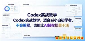 Codex实战教学,适合ai小白初学者,不会编程,也能让AI替你批量干活-流年日记