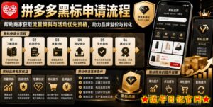 拼多多黑标申请流程,帮助商家获取流量倾斜与活动优先资格,助力品牌溢价与转化-流年日记