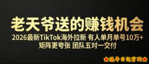老天爷送的賺钱机会!2026最新TikTok海外拉新,有人单月单号10W+,矩阵更夸张,团队交付【揭秘】-流年日记