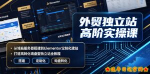 外贸独立站高阶实操课｜从域名服务器搭建到Elementor定制化建站，打造高转化询盘型独立站全教程-流年日记