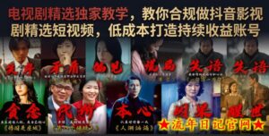 电视剧精选独家教学，教你合规做抖音影视剧精选短视频，低成本打造持续收益账号-流年日记
