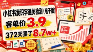 小红书卖识字通关检测（电子版），客单价3.9，372天卖了8.7w+-流年日记