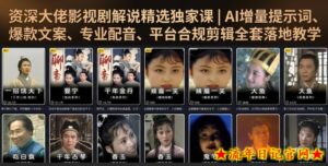 资深大佬影视剧解说精选独家课|AI增量提示词、爆款文案、专业配音、平台合规剪辑全套落地教学-流年日记