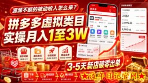 源源不断的被动收入怎么来？拼多多虚拟类目实操月入1至3W，3-5天新店破零出单-流年日记