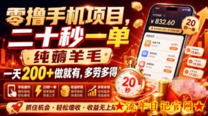 零撸手机项目，二十秒一单，纯薅羊毛一天200+做就有，多劳多得【揭秘】-流年日记