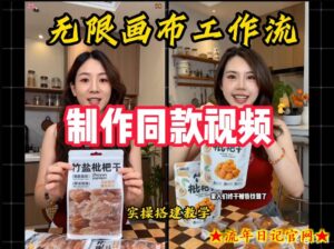 无限画布工作流一键复刻爆款带货视频，实操搭建，操作简单-流年日记