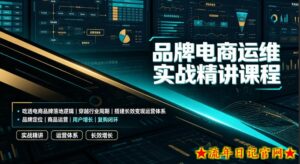 品牌电商运维实战精讲课程|吃透电商品牌落地逻辑、穿越行业周期、搭建长效变现运营体系-流年日记