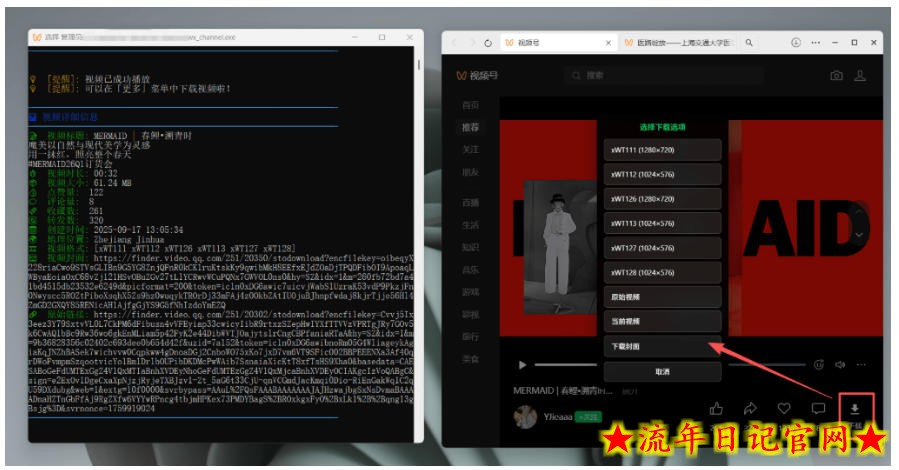Github热门工具，视频号下载神器又来了！一键注入下载按钮，轻松下载，使用便捷wx_channel