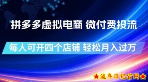 拼多多虚拟电商，微付费投流玩法，每人可开四个店，轻松月入过1W【揭秘】-流年日记