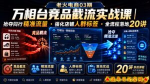 老火电商03期・万相台竞品截流实战课｜抢夺同行精准流量・强化店铺人群标签・全流程落地20讲-流年日记