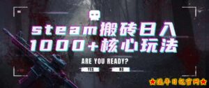 steam搬砖项目,一周只需1-2小时,轻松月入过万,上不封顶【揭秘】-流年日记