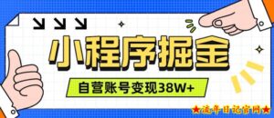 微信小程序掘金,团队自营小程序累计变现38W+,稳定运营三年,一部手机即可操作【揭秘】-流年日记