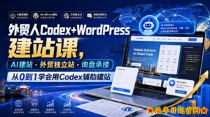 外贸人Codex+WordPress建站课,AI建站·外贸独立站·询盘承接,从0到1学会用Codex辅助建站-流年日记