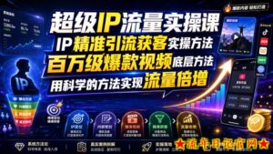 超级IP流量实操课，IP精准引流获客实操方法，百万级爆款视频底层方法，用科学的方法实现流量倍增-流年日记