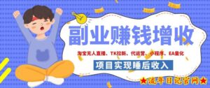 2026年多个真实落地副业项目,手把手带你搭建被动收入管道(淘宝无人直播、海外TK拉新、CSGO饰品交易、去水印小程序等)【揭秘】-流年日记
