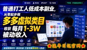 普通打工人低成本副业,从零起步做多多虚拟类目,收获每月1-3W被动收入【揭秘】-流年日记