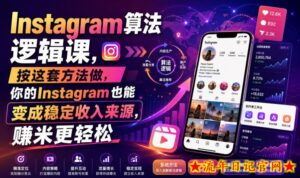 Instagram算法逻辑课,按这套方法做,你的Instagram也能变成稳定收入来源,賺米更轻松【原创双语字幕】-流年日记