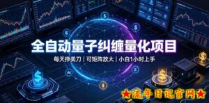 全自动量子纠缠量化项目，每天挣美刀，可矩阵放大，小白1小时上手【揭秘】-流年日记