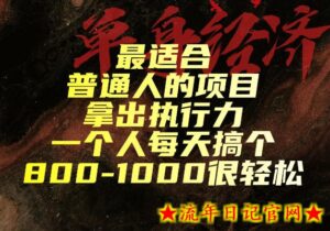 最适合普通人的项目,拿出执行力一个人每天搞个800-1k很轻松【揭秘】-流年日记