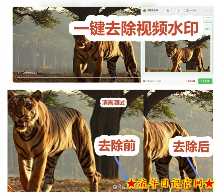太香了！这款千问视频/图片去水印神器，一键搞定烦人水印，本地完全免费，浏览器拓展插件