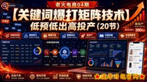 老火电商04期:【关键词爆打矩阵技术】低预低出高投产(20节)-流年日记