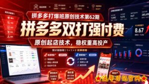 拼多多打爆班原创技术第62期,拼多多双打强付费,原创起店技术,稳权重高投产-流年日记