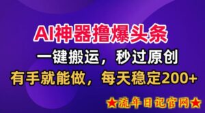 AI神器撸爆头条，一键搬运，秒过原创，有手就能做，每天稳定200+【揭秘】-流年日记
