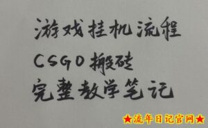 游戏挂G全流程笔记分享,CSGO游戏搬砖,小白看了当天学会见收益【揭秘】-流年日记