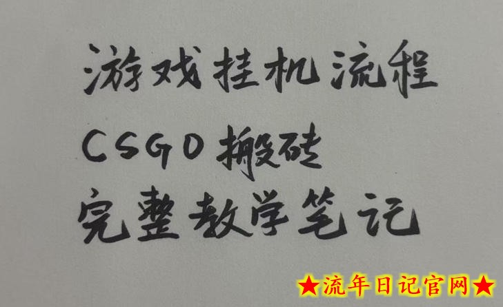 游戏挂G全流程笔记分享,CSGO游戏搬砖,小白看了当天学会见收益【揭秘】-流年日记