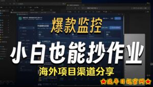 抖音爆款数据监控工具_海外网盘拉新渠道-流年日记