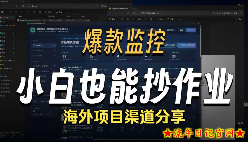 抖音爆款数据监控工具_海外网盘拉新渠道-流年日记