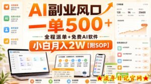 AI副业风口，一单500+，全程派单+免费AI软件，小白月入2W【附SOP】【揭秘】-流年日记
